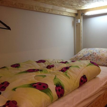 Hostel Smile-Dnepr นิปโปร ภายนอก รูปภาพ